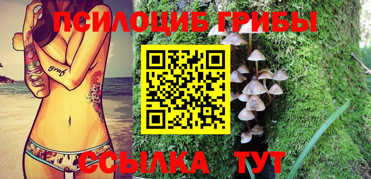 Галлюциногенные грибы мицелий Чернушка