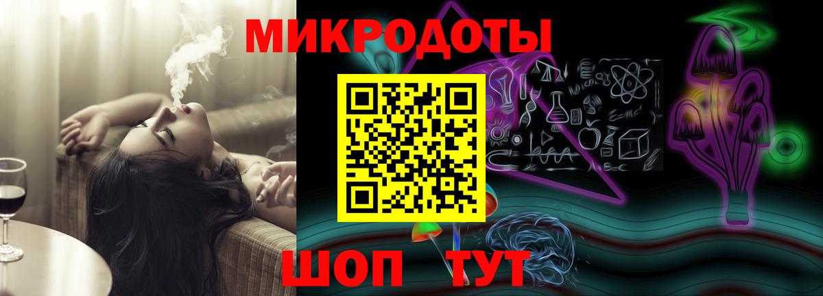 Чернушка  Псилоцибиновые грибы Psilocybine cubensis  что такое   Вход с VPN 